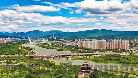 大象传媒视频app软件-探索大象传媒视频app软件,重塑娱乐体验的革新力量